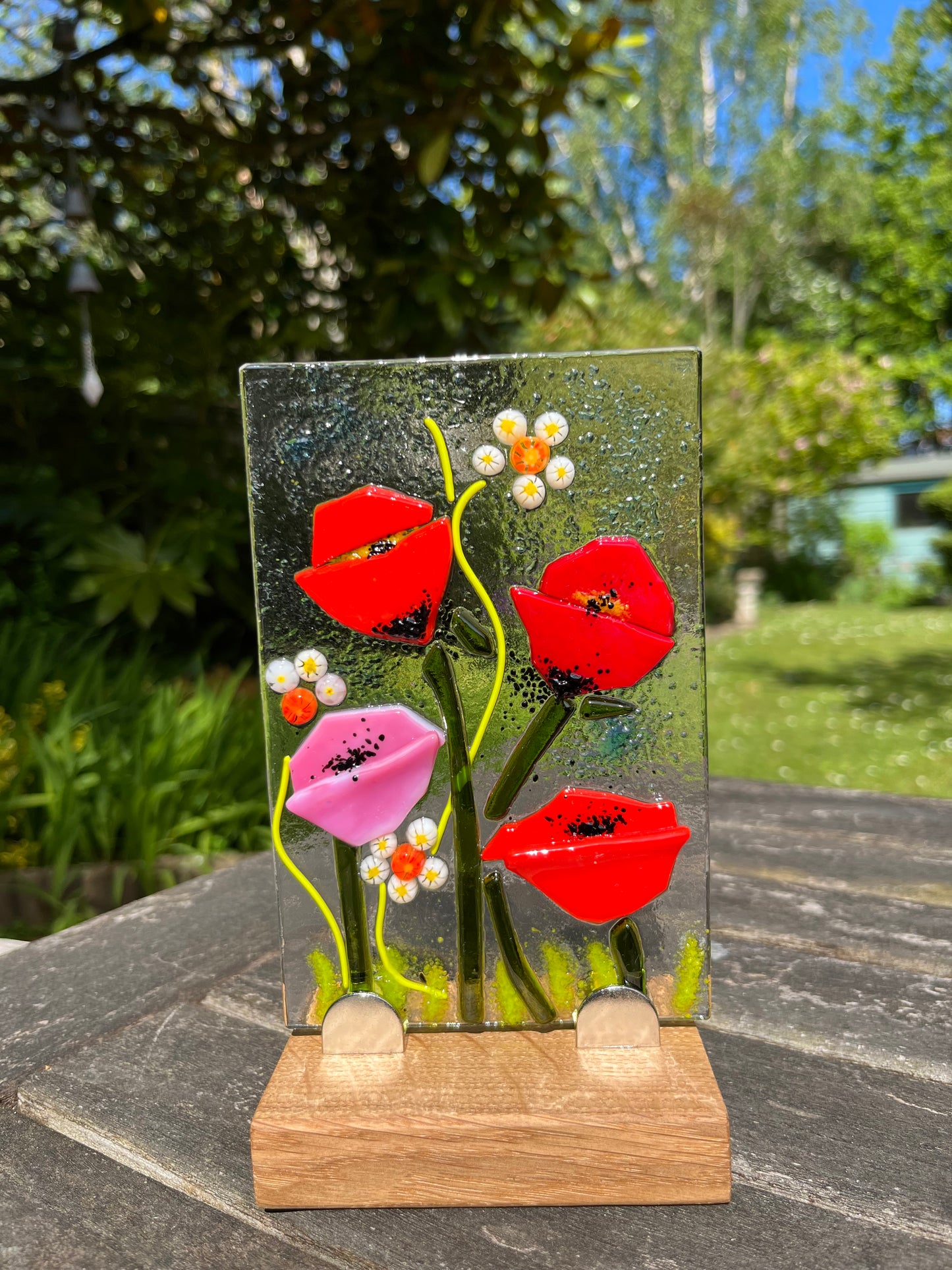 Mixed Poppies
