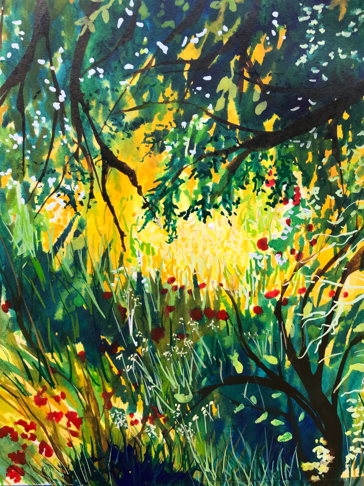 Sunlit Forest Floor