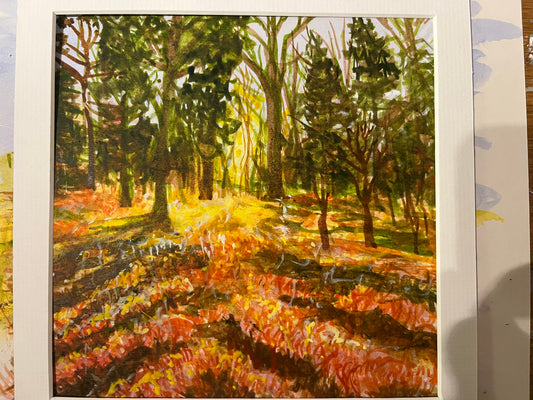 Late Summer Glow