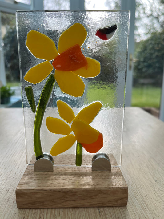 Daff