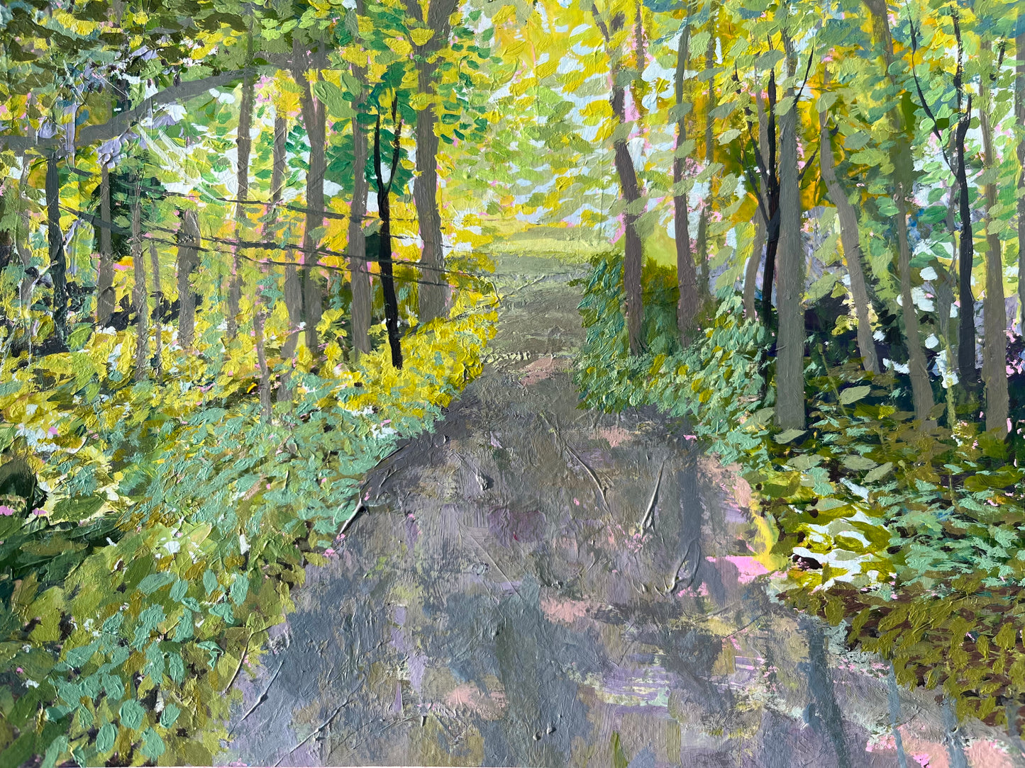 Forest road
