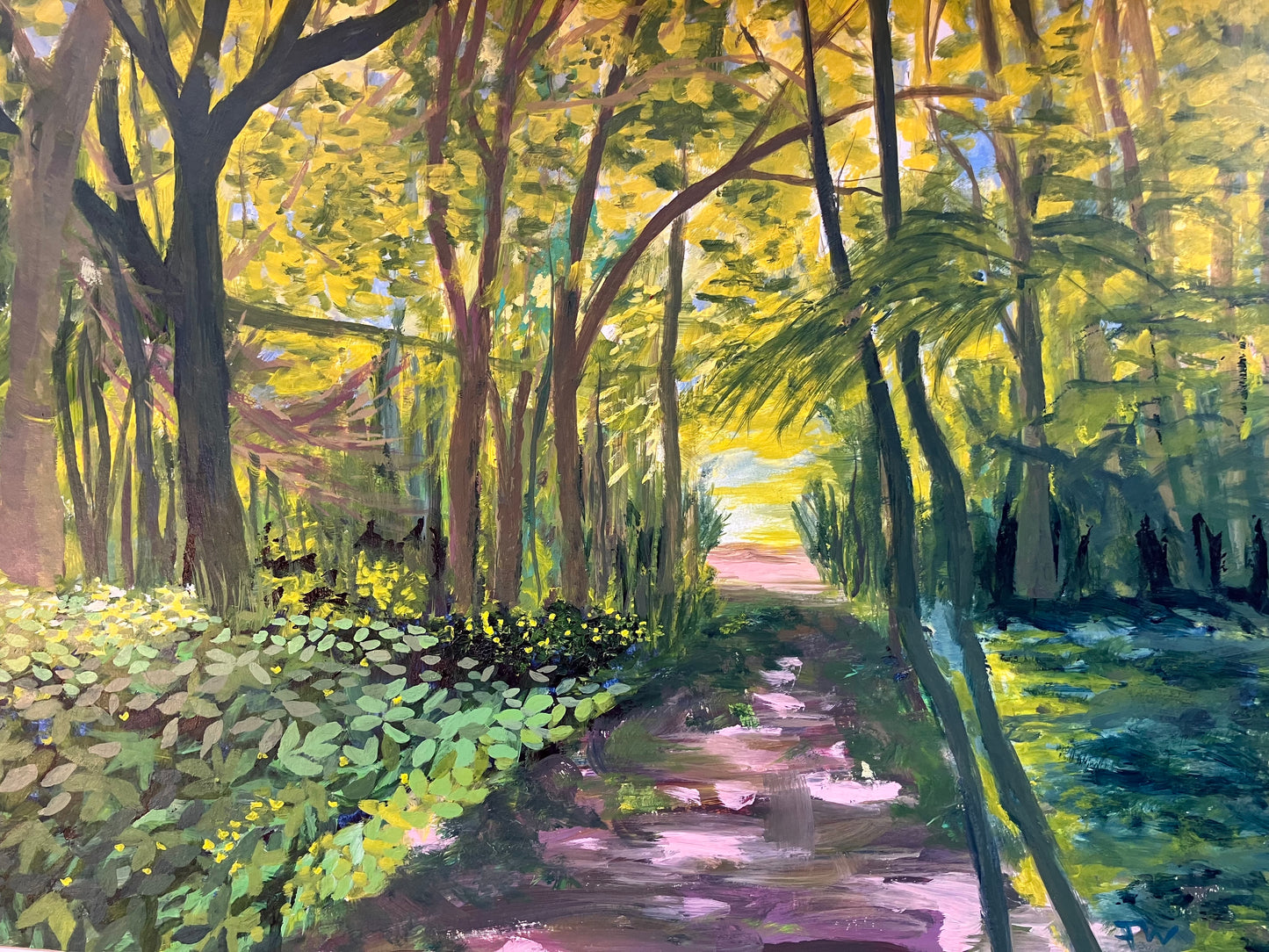 Forest Glow
